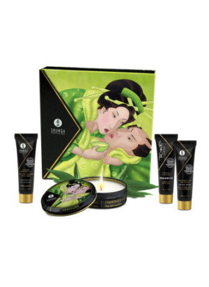 Coffret de Geisha Bio thé vert - CC818003